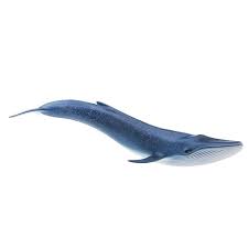 Schleich Wild Life Blue Whale  #14806
