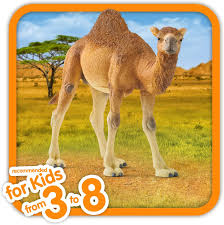 Schleich Wild Life Dromedary/Camel