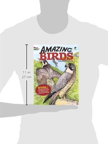 Dover Coloring Book Amazing Birds