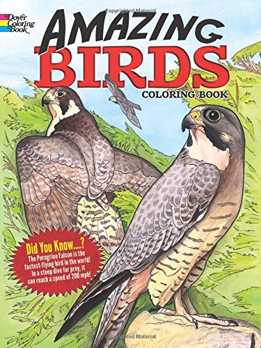 Dover Coloring Book Amazing Birds