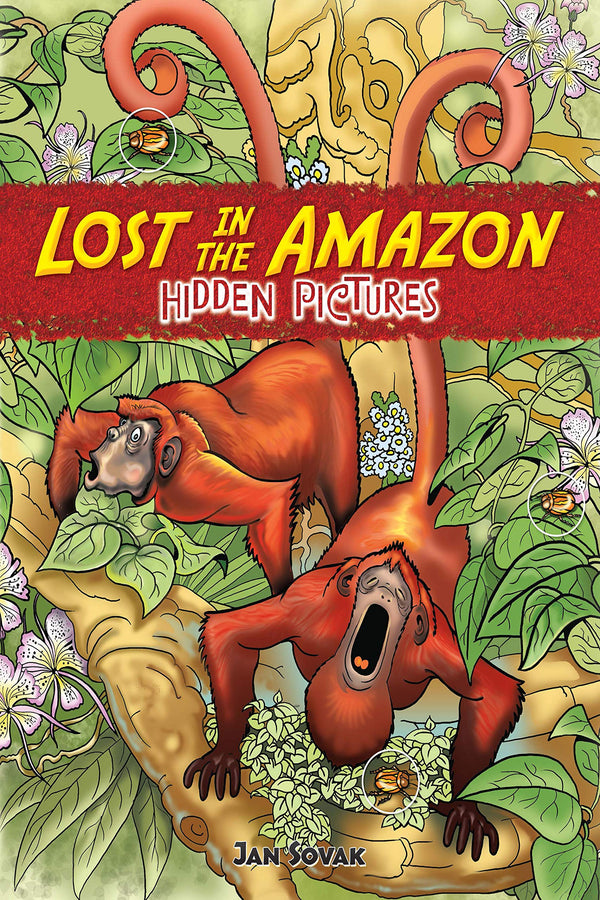 Dover Lost in the Amazon Hidden Pictures