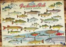 Cobble Hill 1000 Piece Puzzle Freshwater Fish Of North America