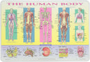 Painless Learning Human Body Placemat