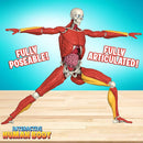 Be Amazing Interactive Human Body