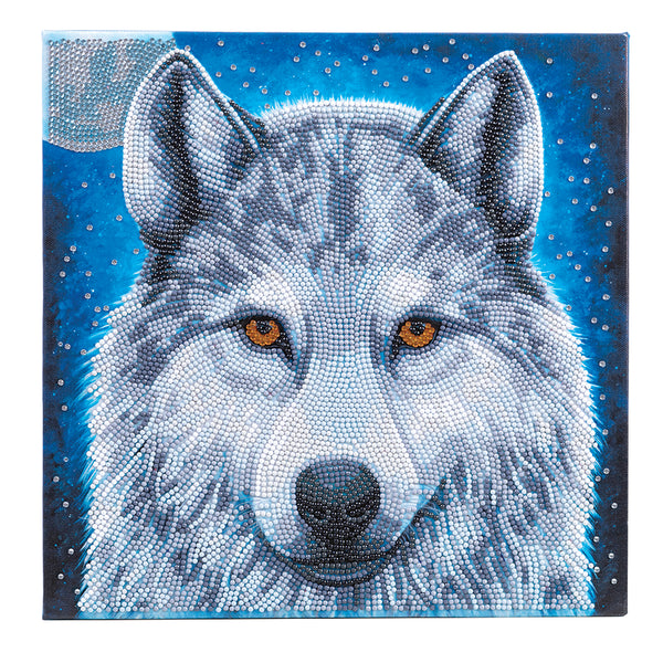 Crystal Art Medium Framed Kit Moonlight Wolf