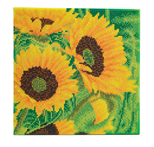 Crystal Art Medium Framed Kit Sunflower Joy