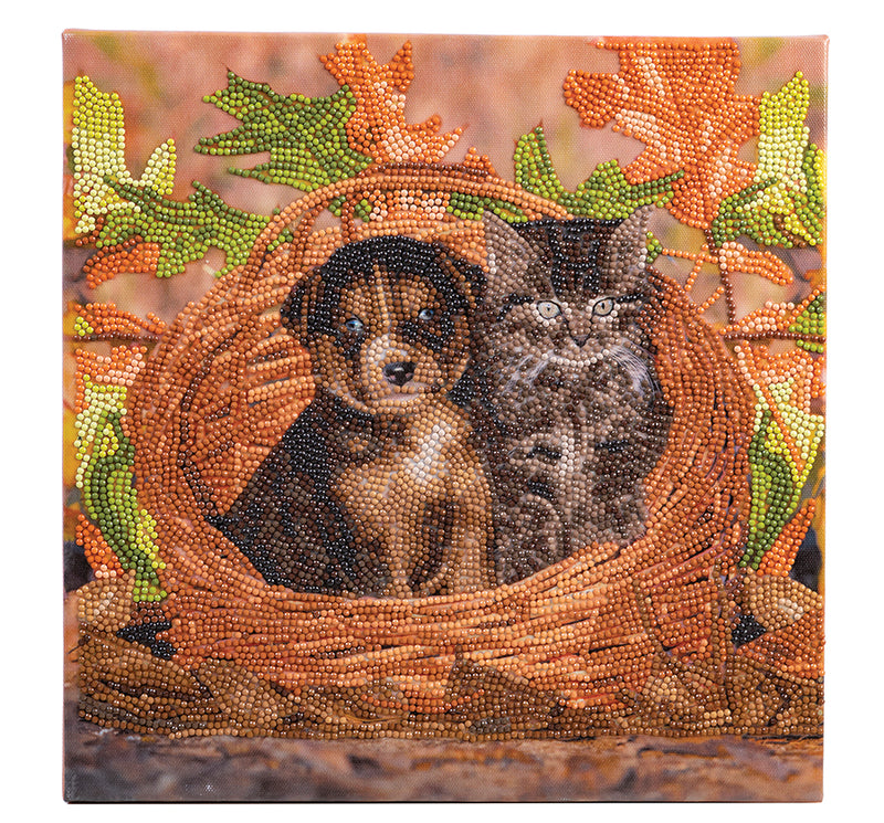 Crystal Art Medium Framed Kit Best Friends Puppy & Kitten in a Basket