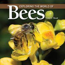 Exploring The World Of Bees