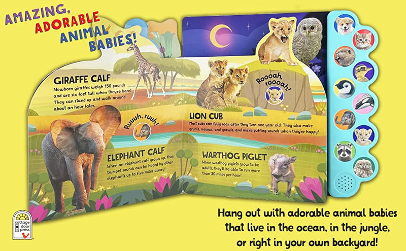 Amazing, Adorable, Animal Babies! With 10 Animal Sounds Board Book