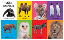 Soft To Touch First 100 Animals Padded Board Book