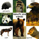 Soft To Touch First 100 Animals Padded Board Book