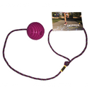 Just Jump It Raspberry Skipper