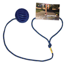 Just Jump It Blue Skipper