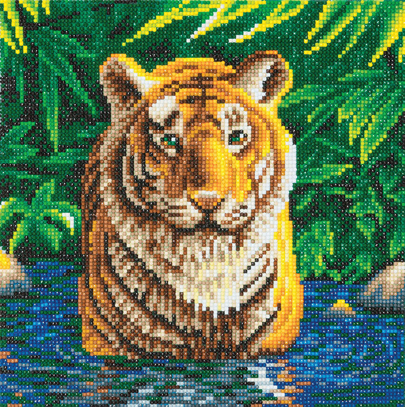 Crystal Art Medium Framed Kit Tiger Pool