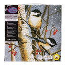 Crystal Art Medium Framed Kit Woodland Sprites